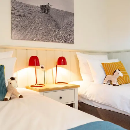 Отель Gut Immenhof 4*
