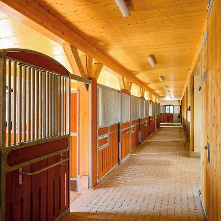Gut Immenhof 4* Маленте