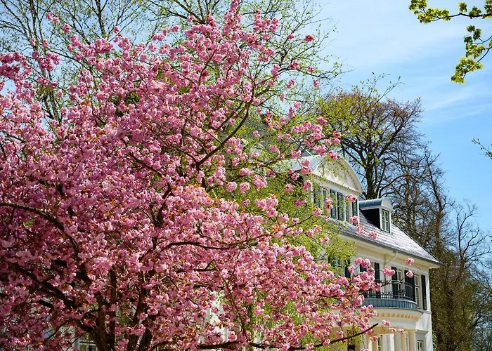 Gut Immenhof