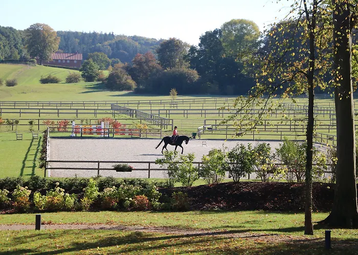 Gut Immenhof 4* Malente
